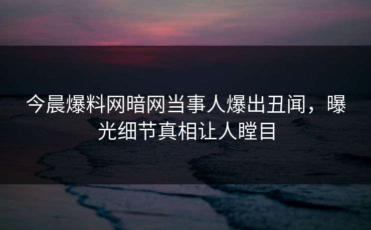 今晨爆料网暗网当事人爆出丑闻，曝光细节真相让人瞠目