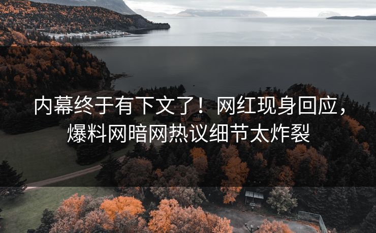 内幕终于有下文了！网红现身回应，爆料网暗网热议细节太炸裂
