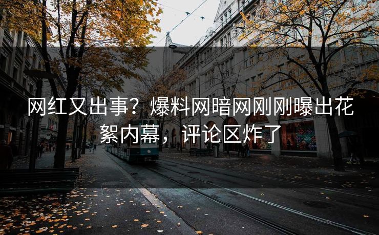 网红又出事？爆料网暗网刚刚曝出花絮内幕，评论区炸了