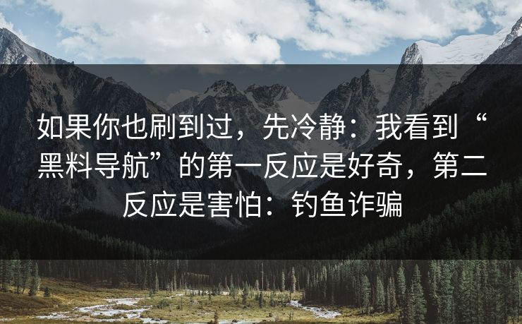 如果你也刷到过，先冷静：我看到“黑料导航”的第一反应是好奇，第二反应是害怕：钓鱼诈骗